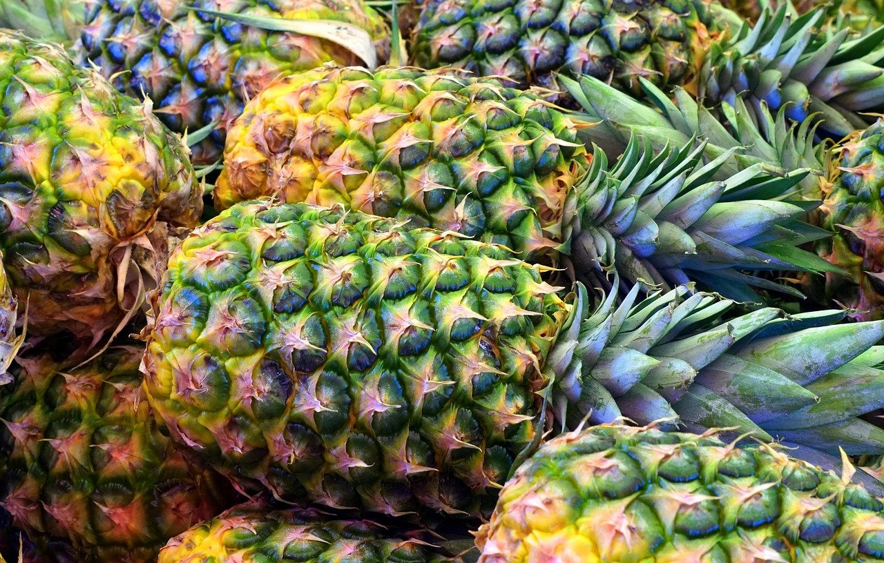 piñas en punto de maduración 