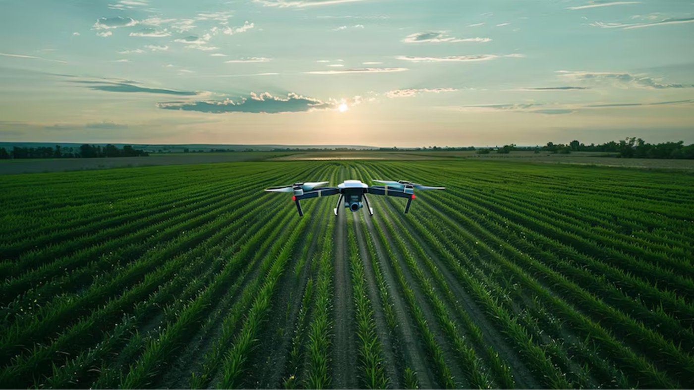 Aplicación de foliar con dron a predio 