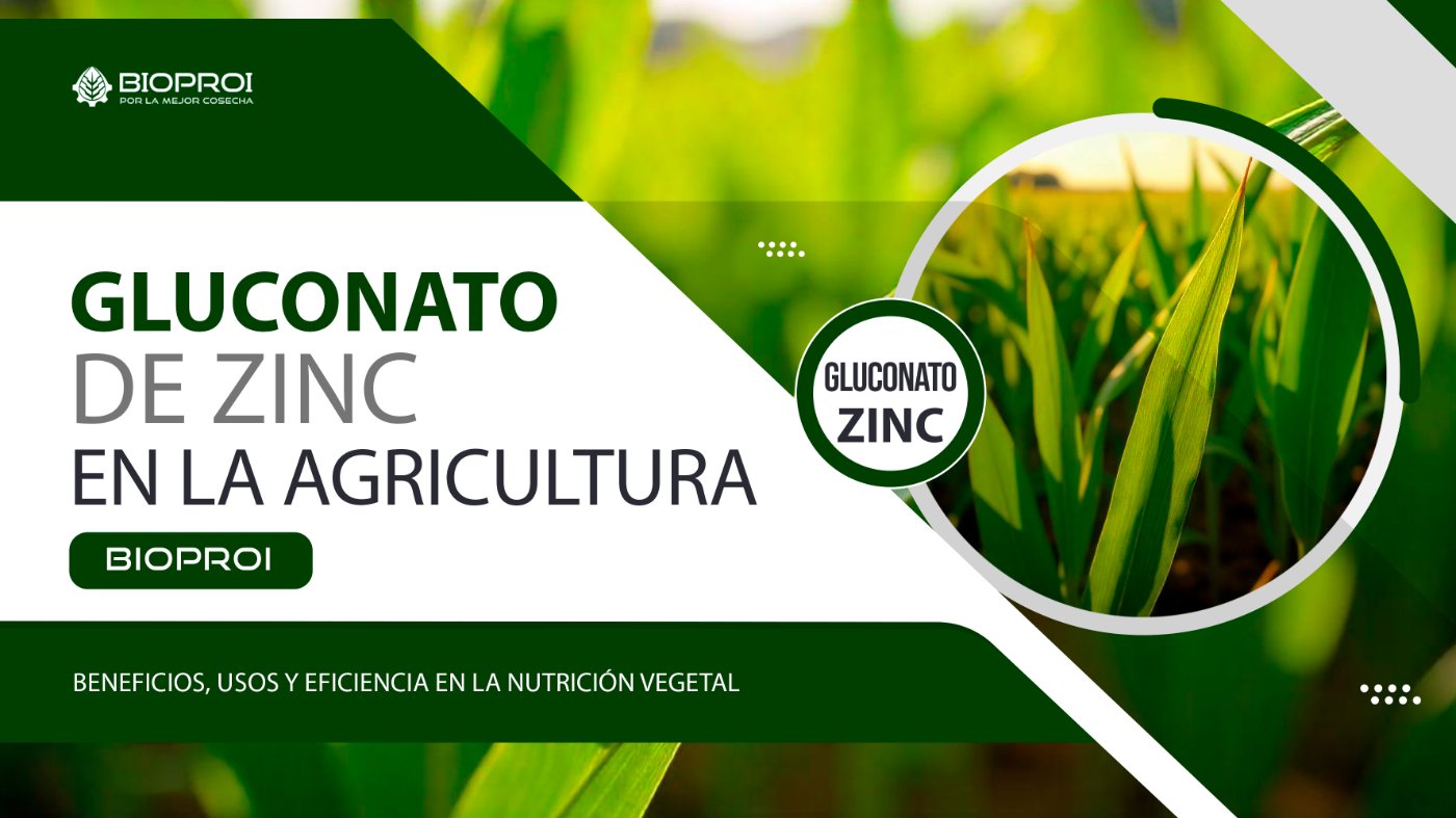 Plantas sanas
