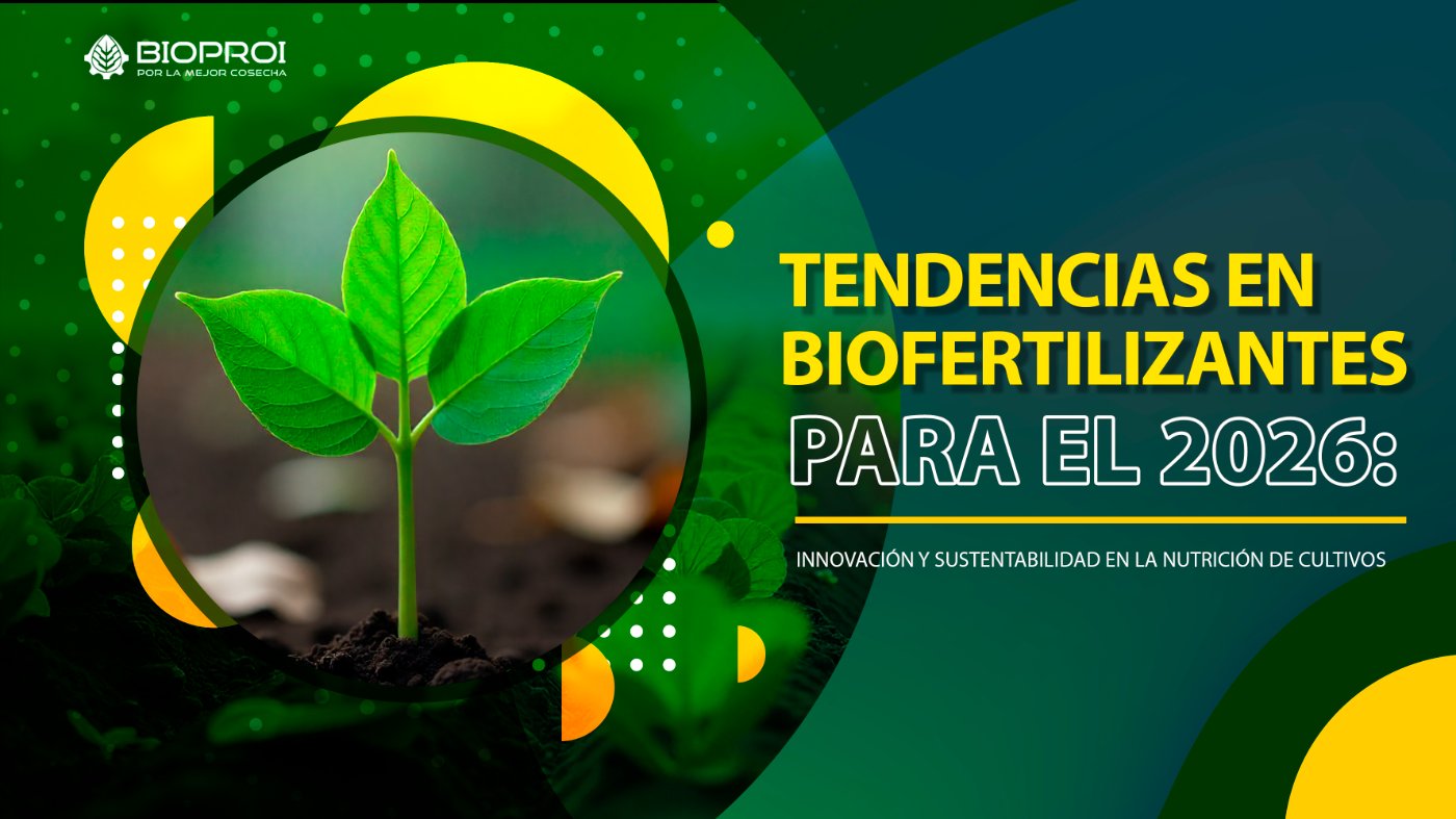 Biofertilizantes