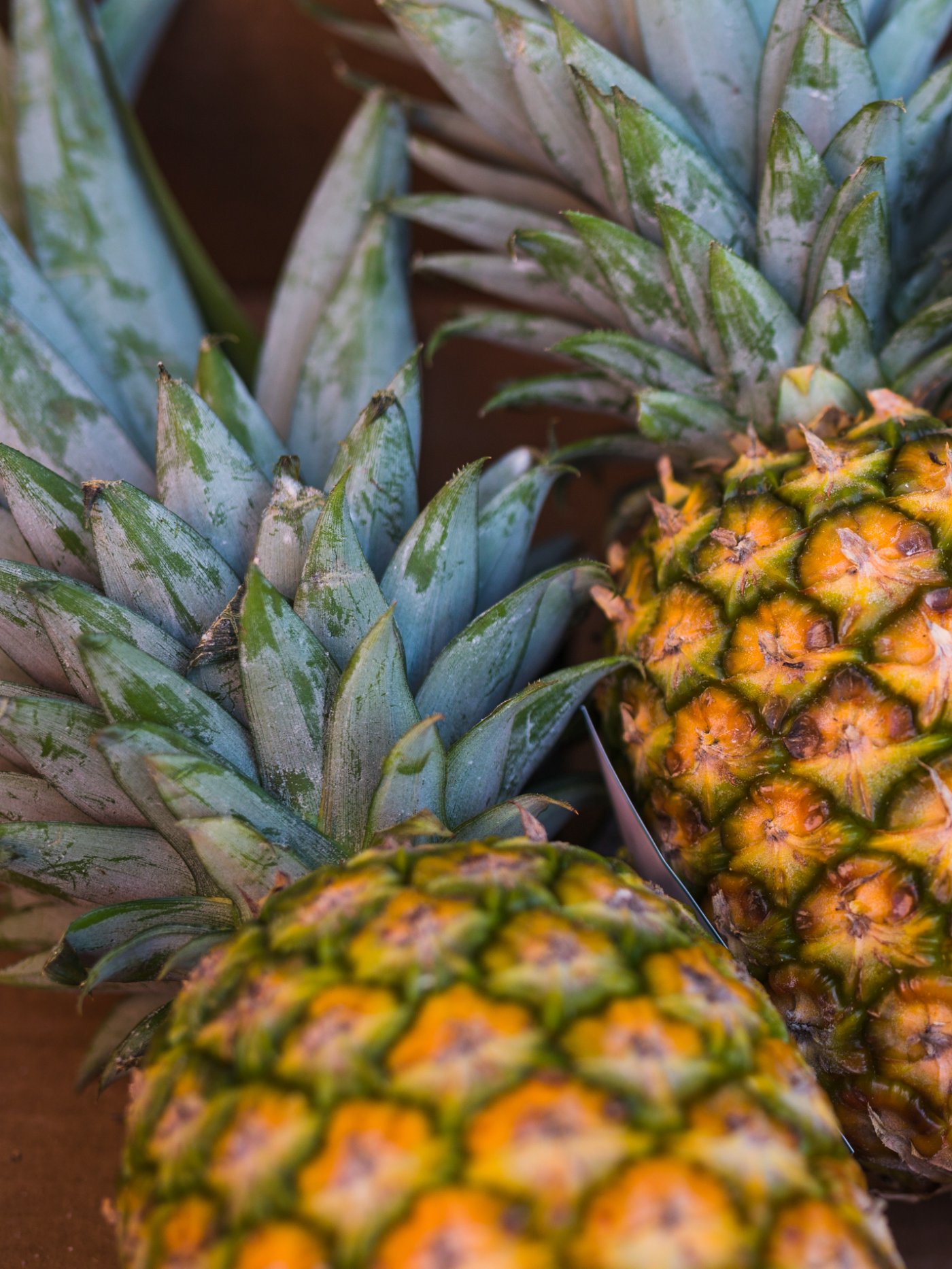 piña madura 