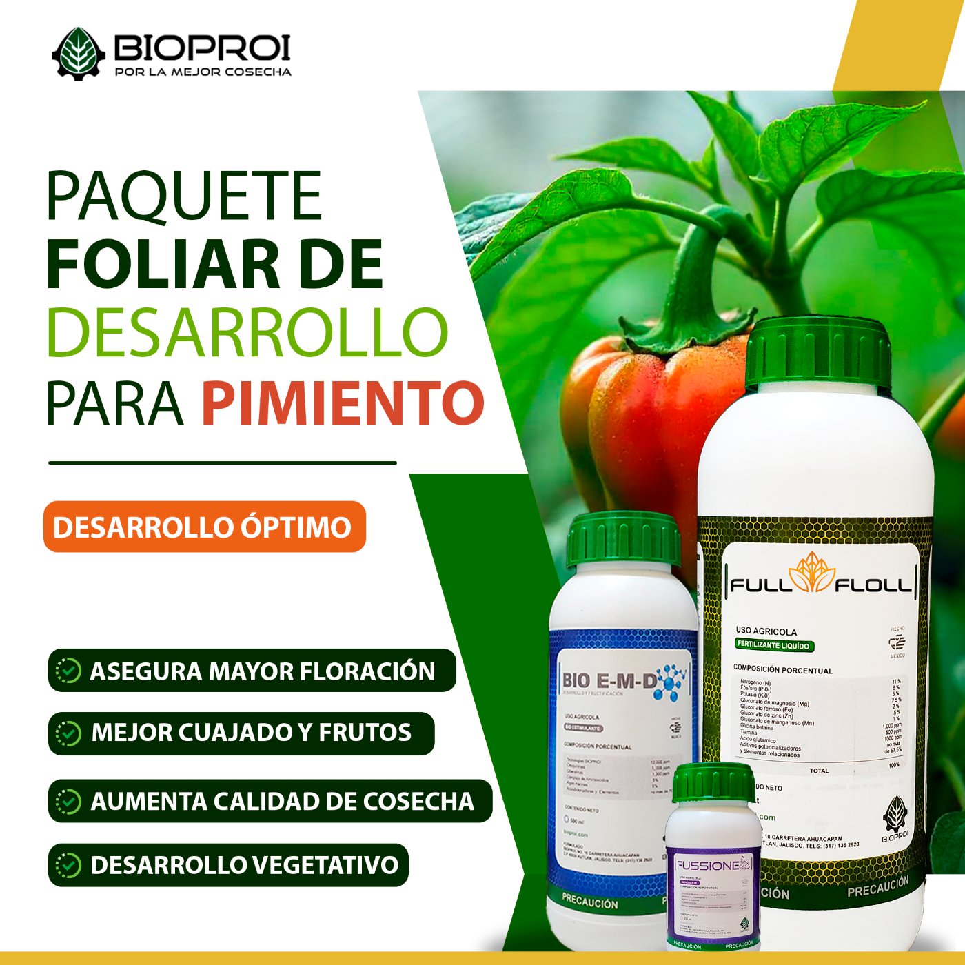 Cuajado de flor y fruto&nbsp;