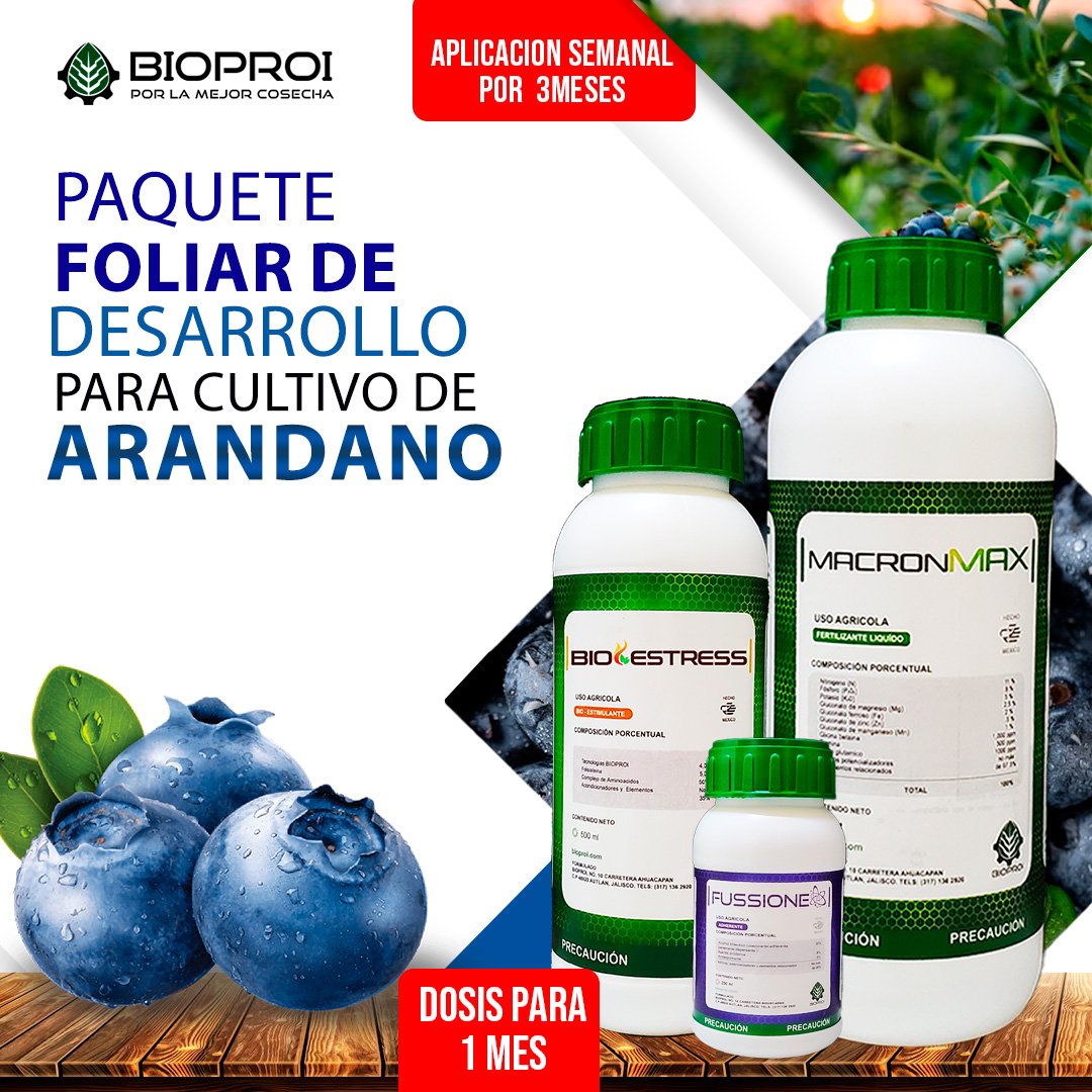 Foliar para cultivo de arándano