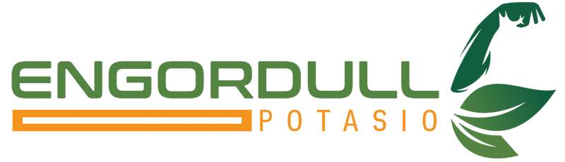 Logotipo del producto ENGORDULL de la formuladora bioproi